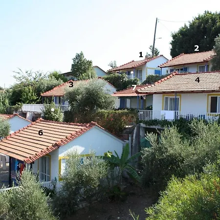 Paradies Nr 7 *